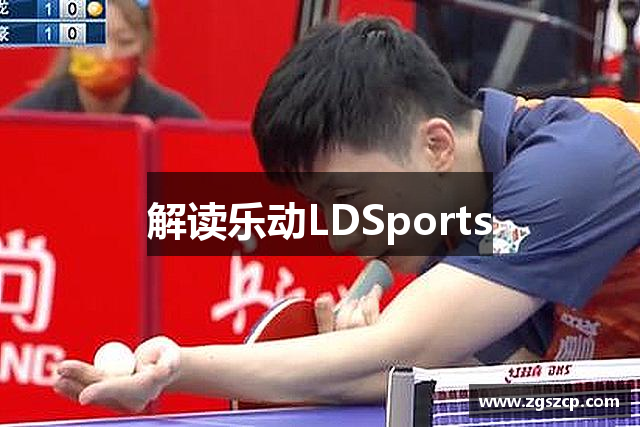 解读乐动LDSports